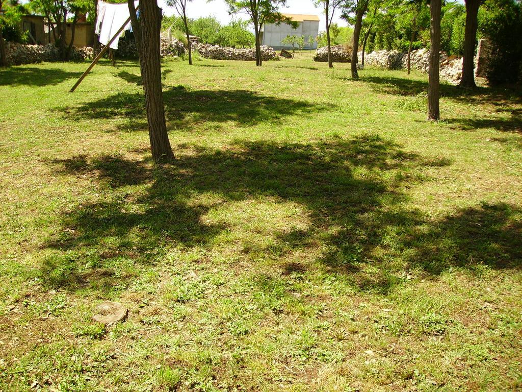 Apartments Anka Privlaka  Exteriör bild